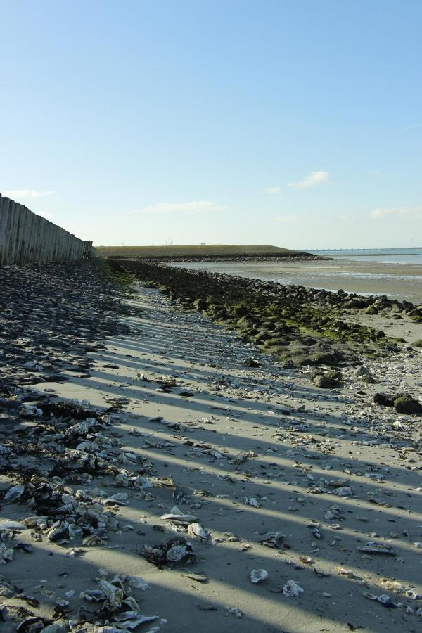 Zeeuwse Zot Bed & Breakfast Wissenkerke Luaran gambar